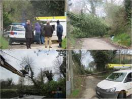 Calvi Risorta: Albero cade e interrompe collegamenti con la localit 